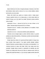 Referāts 'Dieva tiesa viduslaikos', 3.