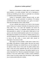 Eseja 'Frazeoloģisms "Lepoties ar svešām spalvām"', 1.