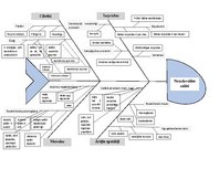 Paraugs 'Zivs asakas modelis', 1.