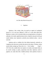 Konspekts 'Āda un tās funkcijas', 8.