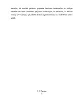 Konspekts 'Āda un tās funkcijas', 11.