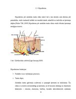 Konspekts 'Āda un tās funkcijas', 13.