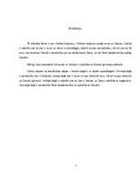 Referāts 'Aura un čakras', 3.