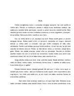 Referāts 'Aura un čakras', 8.