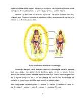 Referāts 'Aura un čakras', 9.