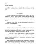 Referāts 'Aura un čakras', 12.