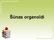 Prezentācija 'Šūnas organoīdi', 1.