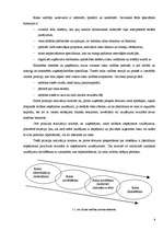 Referāts 'Risks uzņēmējdarbībā. Riska vadīšana', 8.