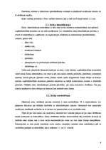 Referāts 'Risks uzņēmējdarbībā. Riska vadīšana', 9.