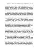 Referāts 'Risks uzņēmējdarbībā. Riska vadīšana', 14.