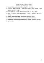 Referāts 'Risks uzņēmējdarbībā. Riska vadīšana', 20.