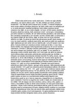 Referāts 'Datora ietekme uz cilvēka veselību', 3.