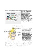 Referāts 'Datora ietekme uz cilvēka veselību', 9.