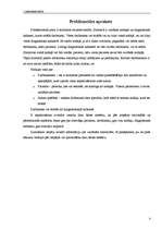 Referāts 'CASE', 3.