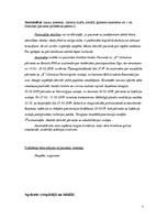 Prakses atskaite 'Fizioterapijas klīnisko prakšu protokols par insulta pacientu', 3.