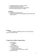 Prakses atskaite 'Fizioterapijas klīnisko prakšu protokols par insulta pacientu', 11.