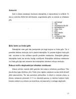 Prakses atskaite 'Kuģu vadīšanas specialitātes mācību prakses atskaite', 17.