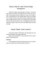 Konspekts 'Regīna Ezera', 8.