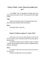 Konspekts 'Regīna Ezera', 10.