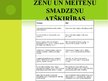 Prezentācija 'Bērnu bioloģisko atšķirību novērtēšana izglītības procesā', 4.