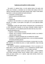 Prakses atskaite 'Prakses atskaite grāmatvedībā', 16.