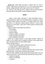 Prakses atskaite 'Prakses atskaite grāmatvedībā', 17.