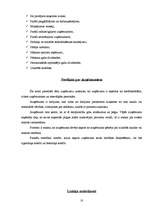 Prakses atskaite 'Prakses atskaite grāmatvedībā', 18.