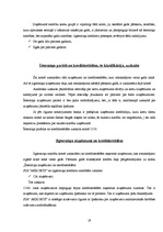 Prakses atskaite 'Prakses atskaite grāmatvedībā', 19.