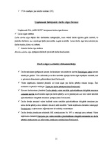 Prakses atskaite 'Prakses atskaite grāmatvedībā', 21.