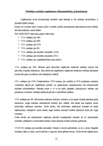 Prakses atskaite 'Prakses atskaite grāmatvedībā', 22.