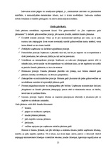 Prakses atskaite 'Prakses atskaite grāmatvedībā', 25.