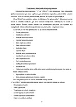 Prakses atskaite 'Prakses atskaite grāmatvedībā', 27.