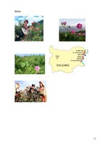 Referāts 'Bulgārijas rozes', 16.