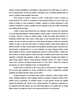 Eseja 'Cilvēks brīvības telpā', 2.