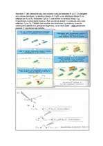 Konspekts 'Imunitāte', 12.