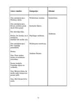 Referāts 'Smilšu spēļu terapija pirmsskolas vecuma bērnu aprūpē', 52.