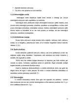 Referāts 'Organizācijas raksturojums - Valsts kultūras pieminekļu aizsardzības inspekcija', 13.