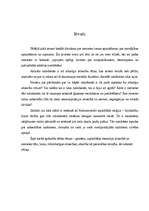 Referāts 'Sieviete. Genders. Attiecības. Stereotipi', 3.