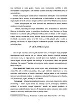 Referāts 'Cilvēkdrošības apdraudējumu novēršanas sistēma: reālās iespējas un perspektīvas', 6.