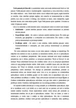 Referāts 'Cilvēkdrošības apdraudējumu novēršanas sistēma: reālās iespējas un perspektīvas', 7.