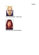 Referāts 'Cilvēkdrošības apdraudējumu novēršanas sistēma: reālās iespējas un perspektīvas', 36.