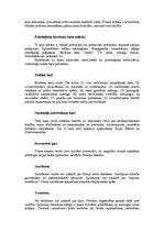 Referāts 'Kas ir karš', 5.