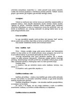 Referāts 'Kas ir karš', 6.