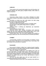 Referāts 'Kas ir karš', 8.