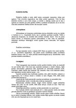 Referāts 'Kas ir karš', 10.