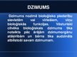 Prezentācija 'Dzimuma identitāte', 2.