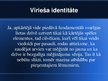 Prezentācija 'Dzimuma identitāte', 23.