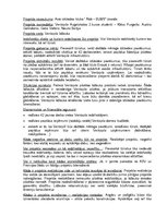 Konspekts 'Avio izklaides kluba "Āāā - Bums" izveide', 1.