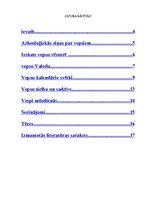 Referāts 'Vepsi', 3.