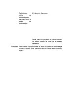 Konspekts 'Integrēts stundas konspekts dabas zinībās', 4.